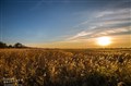 IMG_309900.jpg